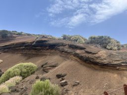 IMG_7159.JPEG