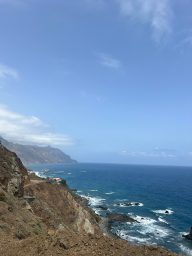 IMG_3932.JPEG