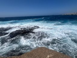IMG_7305.JPEG