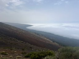 IMG_7131.JPEG