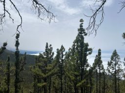 IMG_7106.JPEG